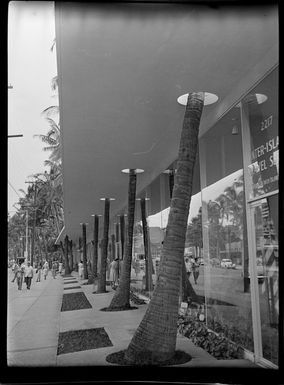 Building frontage and palm trees, Honolulu, Hawaii