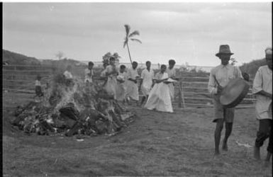 Fieldwork in Fiji