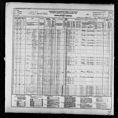 1940 Census Population Schedules - Hawaii - Kauai County - ED 4-21