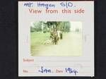 [Group of people standing on side of road with pigs], Mt Hagen subdistrict, Jan 1964