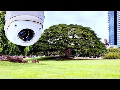 Surveillance Cameras in Public Parks | Insights on PBS Hawai'i