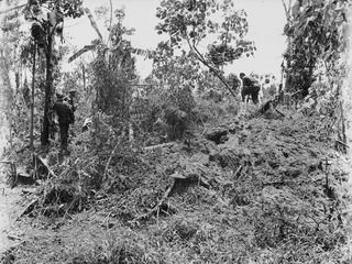 BOUGAINVILLE ISLAND. 1945-01-16. QX35765 LIEUTENANT A.E.C. MULLALY, MC, 47TH INFANTRY BATTALION KEEPING A LOOKOUT FOR JAPANESE PATROLS WHILE MEMBERS OF HIS PLATOON SEARCH THE WRECKAGE OF AN ENEMY ..