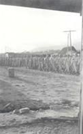 Ninth General Hospital. World War II.
