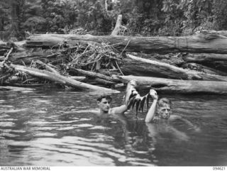 Yara River, New Britain. 1945-07-28. Two members of a 2/2nd Cavalry Commando Squadron, AIF, patrol displaying the fish obtained by exploding a grenade in the river. See 094620