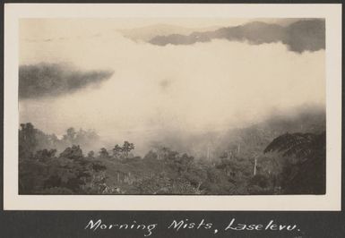 Morning mist at Laselevu, Fiji, June 1930