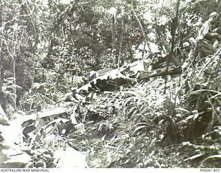 NEW IRELAND, 1945-09/10. ALLIED AND JAPANESE SERVICE PERSONNEL INSPECTING THE WRECKAGE OF AN AIRCRAFT FOUND 0N THE NORTH COAST BETWEEN NAMATANAI AND SILOM. THE WRECKAGE WAS OF A LOCKHEED VENTURA ..