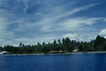 A coconut and cocoa plantation on east coast of Bougainville, [Papua New Guinea], Jun 1960