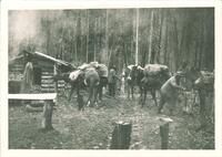 Expedition arrives at camp in Washington state, The University of Iowa, 1920