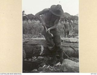 EVAPIA RIVER, NEW GUINEA, 1944-03-15. MEN OF THE 2/4TH FIELD COMPANY, ROYAL AUSTRALIAN ENGINEERS, PREPARING THE MAIN SUPPORT FOR A SUSPENSION BRIDGE CARRYING FOOT TRAFFIC AND FACILITATING DELIVERY ..