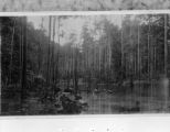 Papua New Guinea, men swimming in Vailala River