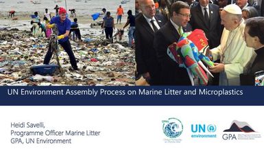 UN Environment Assembly process on marine litter and microplastics.