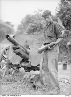 YAULA, NEW GUINEA. 1944-04-08. VX142242 PRIVATE S.J. LADIGES, EXAMINING A 75MM SHELL ALONGSIDE A JAPANESE MOUNTAIN GUN CAPTURED BY THE 57/60TH INFANTRY BATTALION AT YAULA