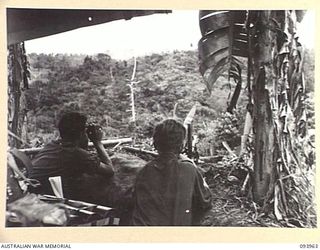 KUNAI RIDGE, NEW GUINEA, 1945-07-10. PTE G. HAWKINS (1), AND PTE W.J. KERR (2), MEMBERS OF A COMPANY, 2/5 INFANTRY BATTALION, SPOTTING FOR JAPANESE FORCES FROM THEIR WEAPON PIT. THE ENEMY OFTEN ..