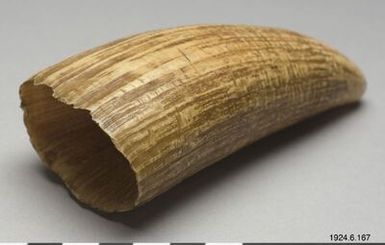 valtand, whale tooth, tabua