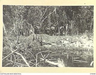 SOUTH BOUGAINVILLE ISLAND. 1945-01-24. TROOPS OF "D" COMPANY, 9TH INFANTRY BATTALION MOVING PAST A WATER-FILLED BOMB CRATER DURING THE CHANGE OVER WITH "D" COMPANY, 42ND INFANTRY BATTALION