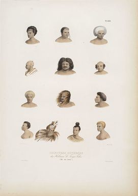 Louis Auguste de Sainson - Coiffures diverses des habitans de Tonga Tabou, lle des Amis