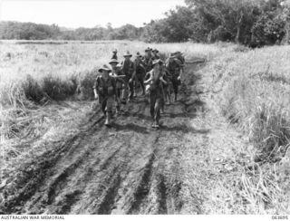 HUON PENINSULA, NEW GUINEA. 1944-01-14. MEMBERS OF THE 2/13TH INFANTRY BATTALION, 20TH INFANTRY BRIGADE COMING OUT OF THE FRONT LINE ALONG A DUSTY TRACK A FEW MILES NORTH OF KELANOA HARBOUR. ..