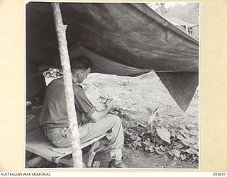 BORAM, WEWAK AREA, NEW GUINEA. 1945-08-31. BOMBARDIER R. BLAKEY, 2/3 FIELD REGIMENT, ROYAL AUSTRALIAN ARTILLERY, TAKING TIME OFF TO READ A NEWSPAPER