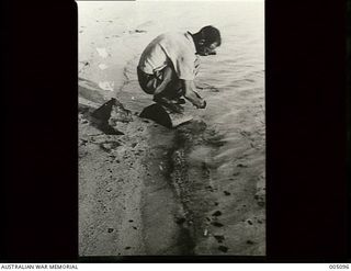 Survivors, passengers and crew from the British vessels Rangitane, Komata, Triaster, Triadic, Triona and Holmwood and the Norwegian vessel Vinni, were rescued by the Australian steamer Nellore from ..