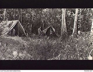 MILNE BAY, PAPUA. C.1942-12. THE TENT LIVING QUARTERS OF MAJORS S.E. HOLDER AND J. HAYWOOD, BOTH OF 110 AUSTRALIAN CASUALTY CLEARING STATION. (DONOR 4TH MILITARY DISTRICT, KESWICK BARRACKS)