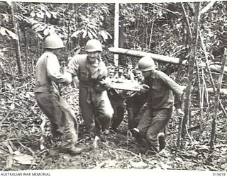 1943-08-30. NEW GUINEA. AN AMERICAN BEING CARRIED UP A ONE IN THREE TRACK ON MOUNT TAMBU TO A FRONT LINE DRESSING STATION. AMERICAN WAS AMBUSHED AT A WATER HOLE. EIGHT SHOTS WERE FIRED AT HIM FROM ..