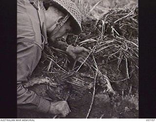 SOGERI VALLEY, NEW GUINEA. 1943-09-24. TX10815 WARRANT OFFICER 1 A. A. WHITTON, AUSTRALIAN INSTRUCTIONAL CORPS, SMALL ARMS SCHOOL, BONEGILLA, SHOWING A HOLE IN THE LOG WHERE A BOMB FROM A PROJECTOR ..