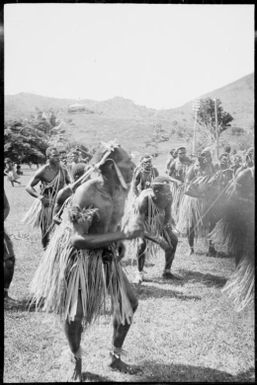 Several decorated Motuan Western Division male dancers with hand drums, Tahira, Port Moresby, Papua, ca. 1923, 2 / Sarah Chinnery