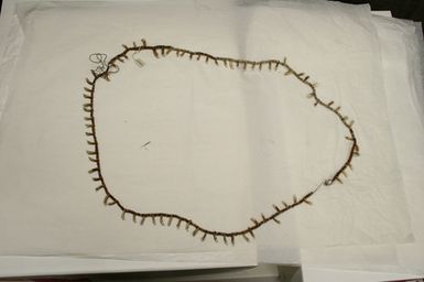 ornament, neck