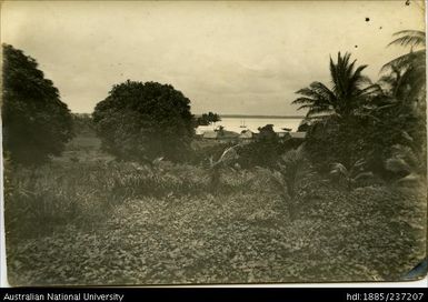 Daru, view of trees, houses, and harbour