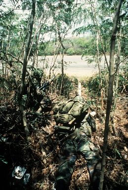 Marines conceal themselves in the underbrush while participating in an amphibious assault exercise at Bellows Air Force Station