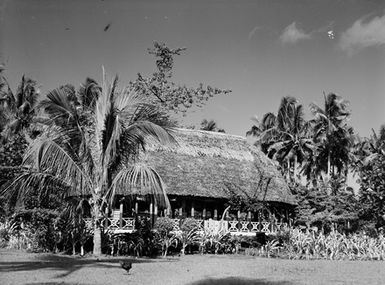 [View of a fale amid trees]