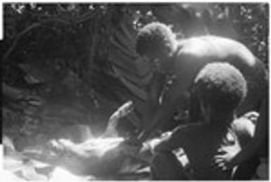 Butchering the sacrifical pig, Kwailala'e