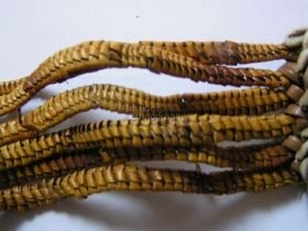 Öv, öltözetkiegészítő