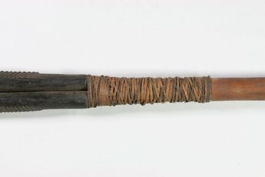 Tao (spear)