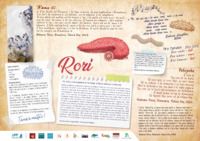 11. Poster Rori (tahitien)