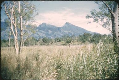 Vivigani plain : Goodenough Island, D'Entrecasteaux Islands, Papua New Guinea, 1956-1958 / Terence and Margaret Spencer