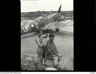 KIRIWINA, TROBRIAND ISLANDS, PAPUA. 1944-01-11. RIGGERS ON STAND-BY DUTY NEAR THEIR SPITFIRE AIRCRAFT, CODE UP-Q, OF NO. 79 (SPITFIRE) SQUADRON RAAF. LEADING AIRCRAFTMAN (LAC) G. E. STEVENS OF ..