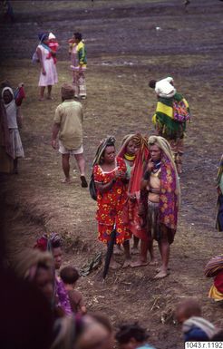 ["fotbollsmatch, åskådare, fotografi, photograph"]