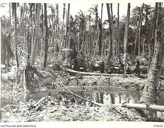 SIO, WEST NEW GUINEA. 1944-01-24. "B" COMPANY PERSONNEL OF THE 4TH INFANTRY BATTALION ENCAMPED IN THE BOMB SCARRED AREA BELOW SIO MISSION
