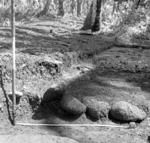 Su-Lam-1, trench, stone alignment across edge of mound.