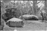 Pig festival, preparations: men's house (r) and small house for sacred stones (l), elevated food storage to store food for upcoming feasts