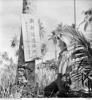 MADANG, NEW GUINEA. 1944-04-24. NX27944 CAPTAIN C.S. MORRISON, COMMANDING OFFICER, Z FIELD SECURITY SECTION, COPIES A JAPANESE SIGNBOARD ON THE MADANG ROAD