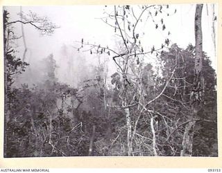 WEWAK AREA, NEW GUINEA, 1945-06-17. A GENERAL VIEW SHOWING THE ARTILLERY BARRAGE ON HILL 2, PRELIMINARY TO THE ATTACK BY B COMPANY, 2/8 INFANTRY BATTALION