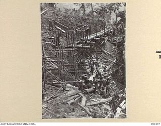 BARGES HILL, CENTRAL BOUGAINVILLE, 1945-06-26. A FUNICULAR RAILWAY IS BEING CONSTRUCTED BY 23 FIELD COMPANY, ROYAL AUSTRALIAN ENGINEERS, TO CARRY EQUIPMENT UP OVER THE HILL. SHOWN IS THE TUBULAR ..