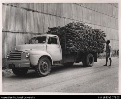 Truck loaded with sugar cane