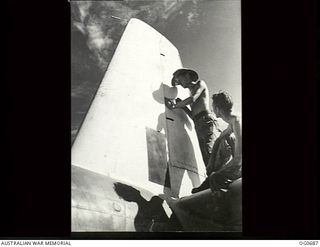 NADZAB, NEW GUINEA. C. 1944-02. LEADING AIRCRAFTMAN (LAC) W. MARSHALL, CROYDON, NSW, WORKING ON THE TAIL FIN OF A VULTEE VENGEANCE DIVE BOMBER AIRCRAFT OF NO. 24 SQUADRON RAAF, WATCHED BY LAC J. R. ..