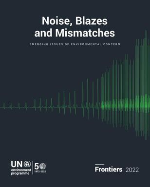 Noise, Blazes and Mismatches - Emerging Issues of Environmental Concern