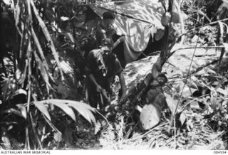JABA RIVER AREA, BOUGAINVILLE, SOLOMON ISLANDS. 1944-12-18. SERGEANT G.H. OXBOROUGH, (1), WITH PRIVATE K. LALER, (2), D COMPANY, 15 INFANTRY BATTALION TROOPS ALONGSIDE THEIR DUGOUT DURING THE ..