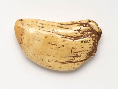 Tabua (Ceremonial whale tooth)