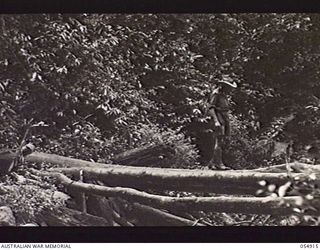 BULLDOG-WAU ROAD, NEW GUINEA, 1943-07-14. TEMPORARY CREEK CROSSING, NORTH OF THE 31 MILE POINT ON THE SURVEYED ROUTE